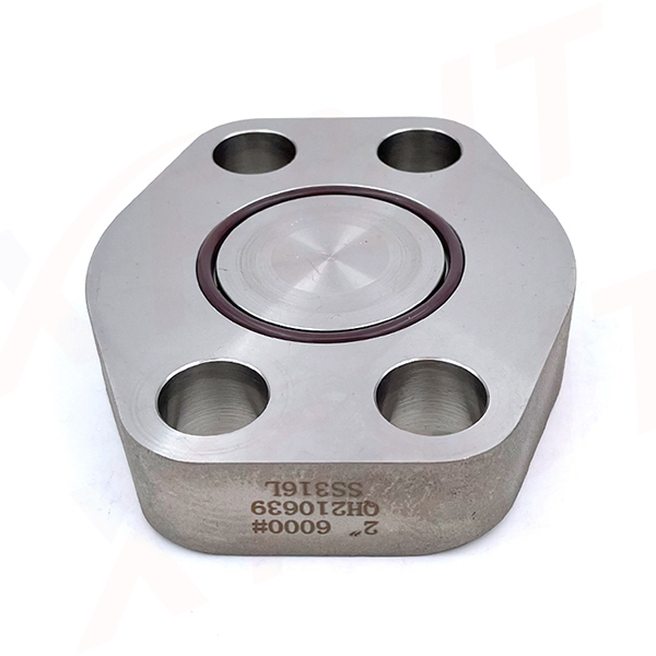 XF&JT| SAE Blind Flanges