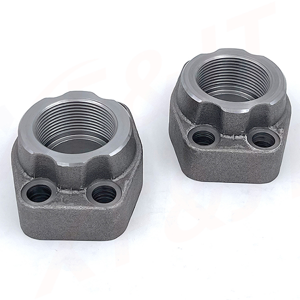 SAE female BSPP thread flange